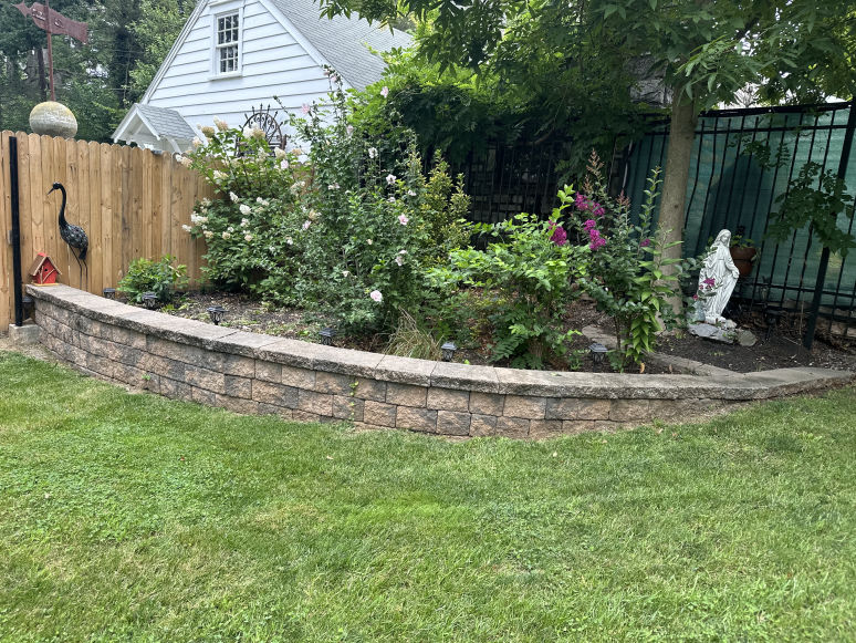 Small Tree & Shrub Removal