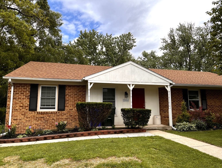 Small Tree & Shrub Removal